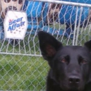 Meet your Posher, Brian